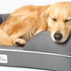 PetFusion Ultimate Dog Bed